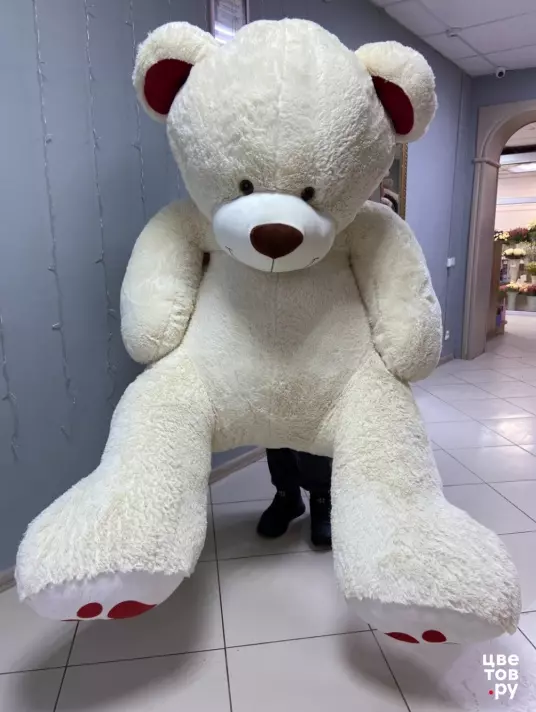 Медведь гигант 230 см