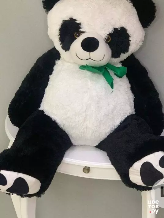 панда красавчик